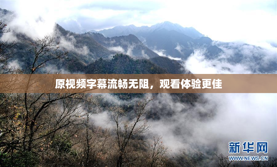 原视频字幕流畅无阻，观看体验更佳