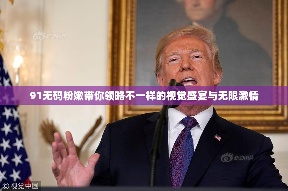 91无码粉嫩带你领略不一样的视觉盛宴与无限激情