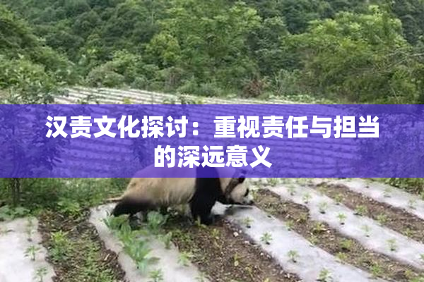 汉责文化探讨：重视责任与担当的深远意义