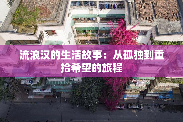 流浪汉的生活故事：从孤独到重拾希望的旅程