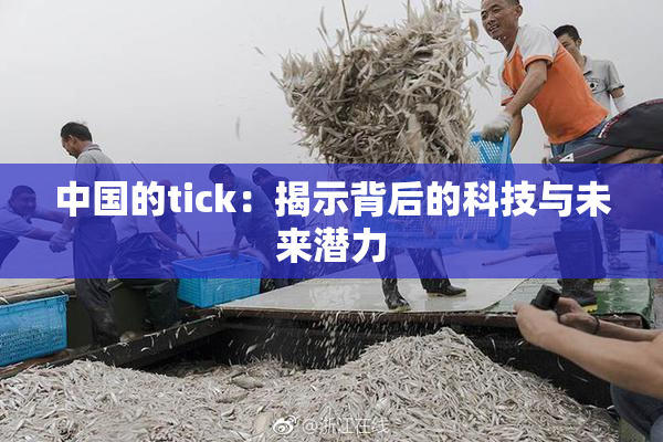 中国的tick：揭示背后的科技与未来潜力