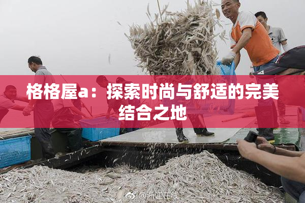 格格屋a：探索时尚与舒适的完美结合之地