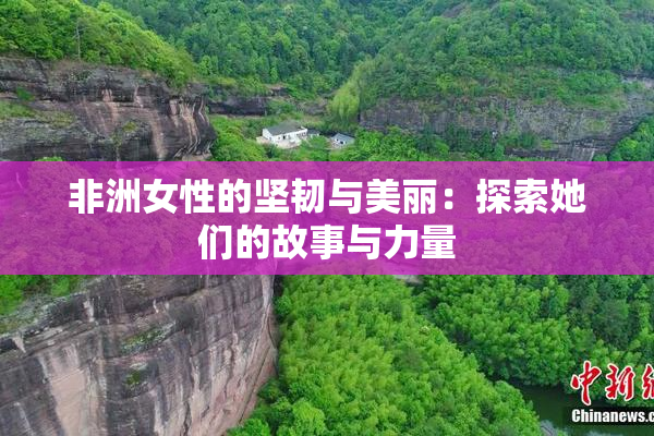 非洲女性的坚韧与美丽：探索她们的故事与力量