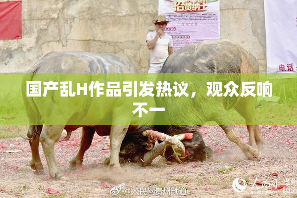 国产乱H作品引发热议，观众反响不一