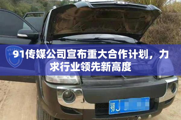 91传媒公司宣布重大合作计划，力求行业领先新高度