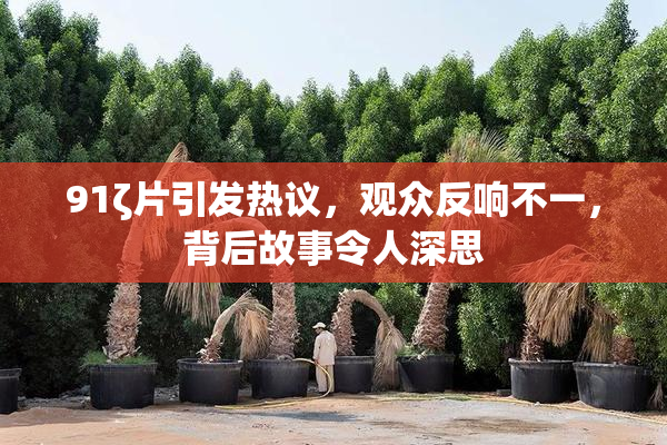 91ζ片引发热议，观众反响不一，背后故事令人深思