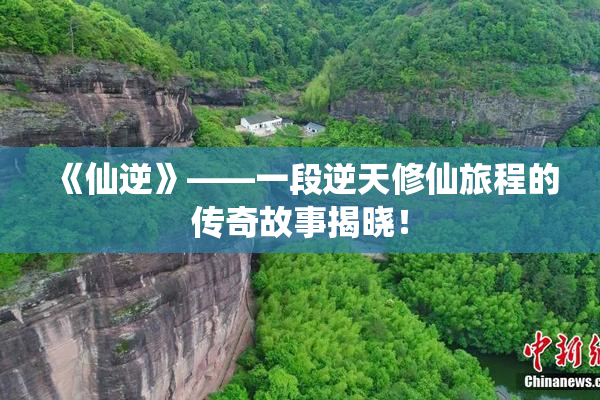 《仙逆》——一段逆天修仙旅程的传奇故事揭晓！