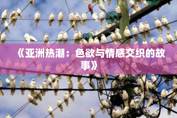 《亚洲热潮：色欲与情感交织的故事》