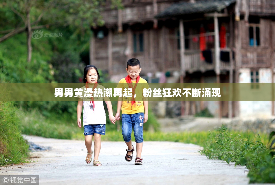 男男黄漫热潮再起，粉丝狂欢不断涌现
