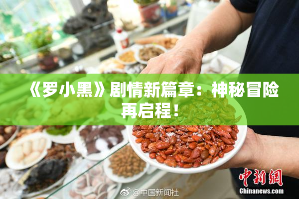 《罗小黑》剧情新篇章：神秘冒险再启程！