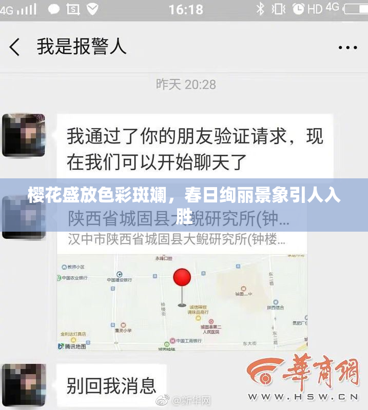樱花盛放色彩斑斓，春日绚丽景象引人入胜