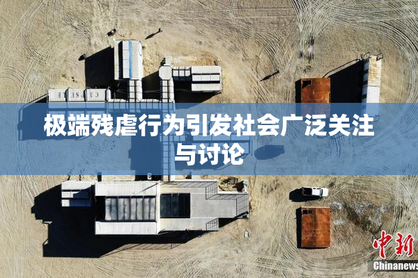 极端残虐行为引发社会广泛关注与讨论