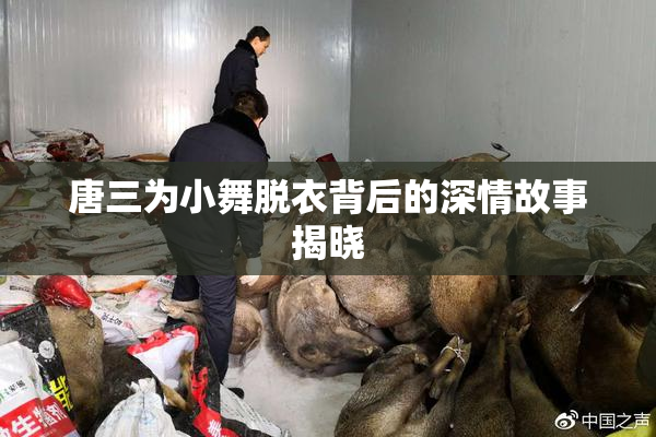 唐三为小舞脱衣背后的深情故事揭晓