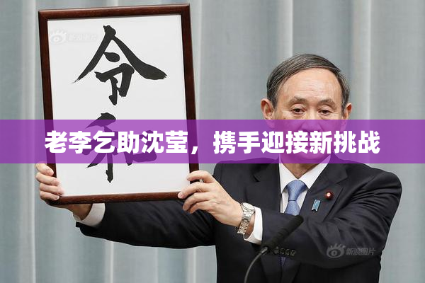 老李乞助沈莹，携手迎接新挑战