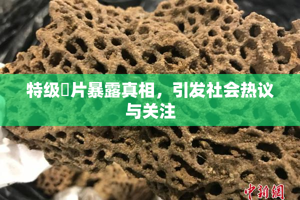特级婬片暴露真相，引发社会热议与关注