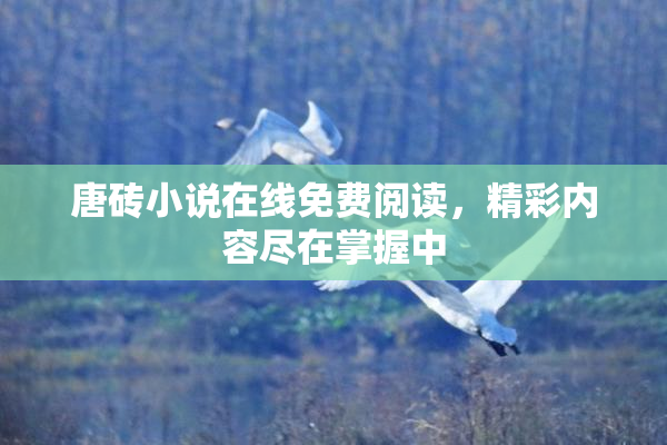 唐砖小说在线免费阅读，精彩内容尽在掌握中