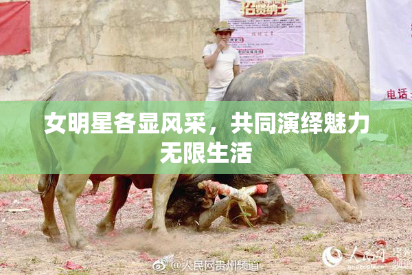 女明星各显风采，共同演绎魅力无限生活