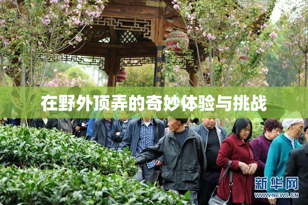 在野外顶弄的奇妙体验与挑战