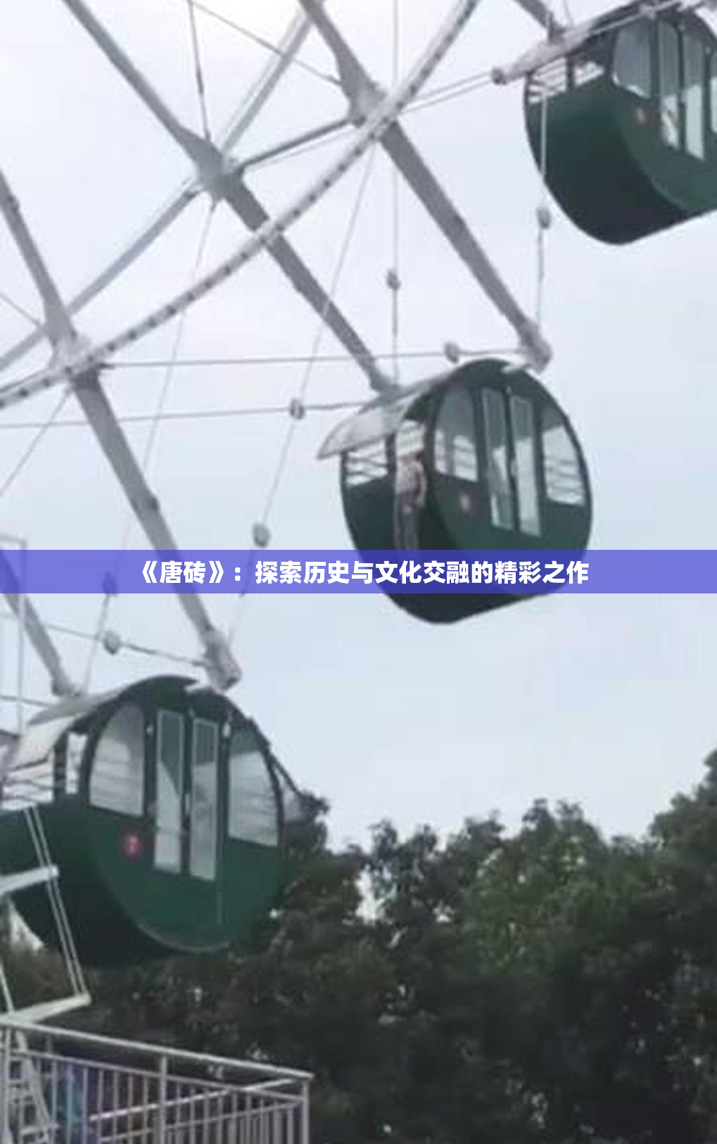 《唐砖》：探索历史与文化交融的精彩之作