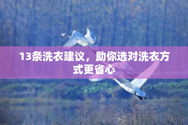 13条洗衣建议，助你选对洗衣方式更省心