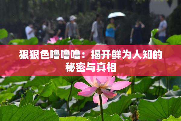 狠狠色噜噜噜：揭开鲜为人知的秘密与真相