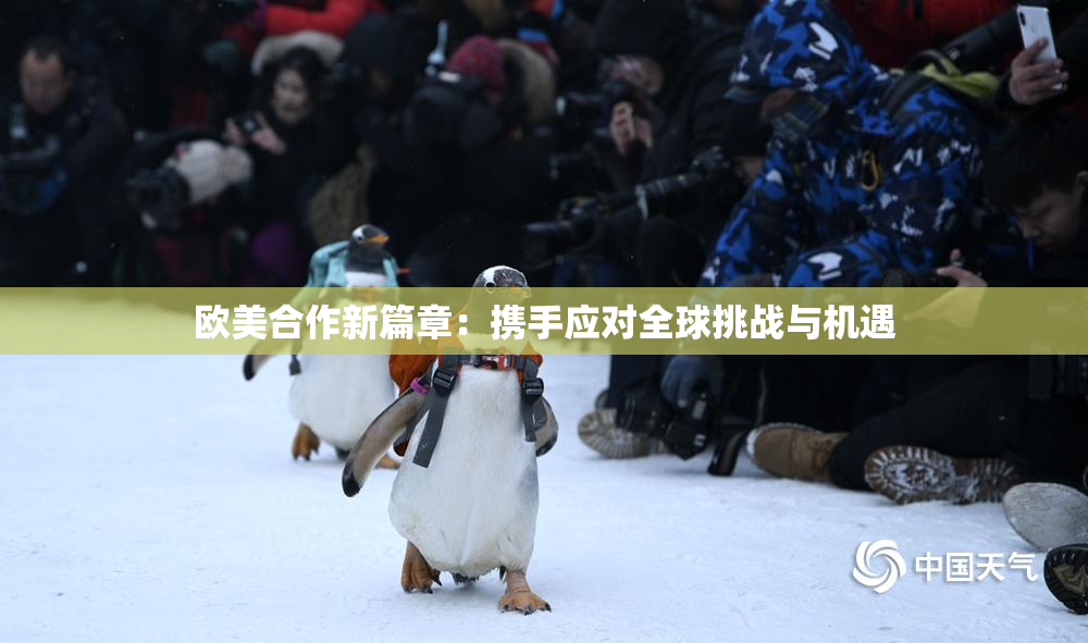 欧美合作新篇章：携手应对全球挑战与机遇