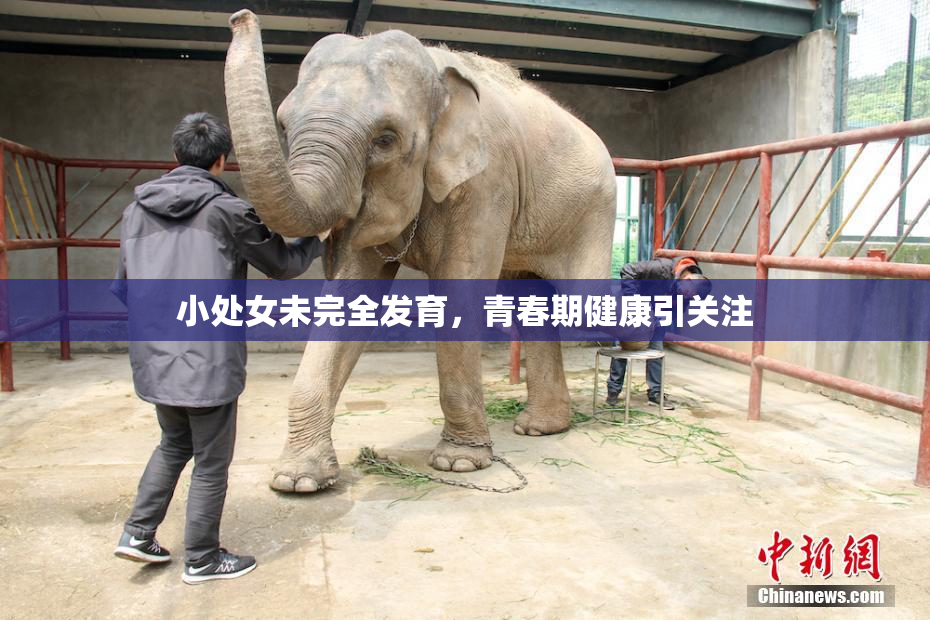 小处女未完全发育，青春期健康引关注