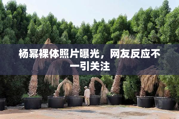 杨幂裸体照片曝光，网友反应不一引关注