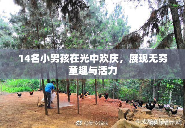 14名小男孩在光中欢庆，展现无穷童趣与活力