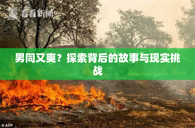 男同又爽？探索背后的故事与现实挑战
