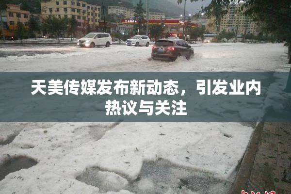 天美传媒发布新动态，引发业内热议与关注