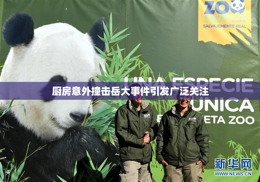厨房意外撞击岳大事件引发广泛关注