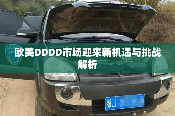欧美DDDD市场迎来新机遇与挑战解析