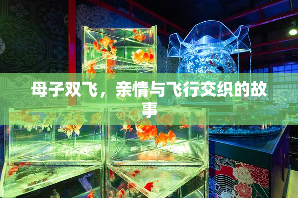 母子双飞，亲情与飞行交织的故事