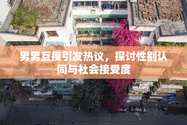 男男互摸引发热议，探讨性别认同与社会接受度