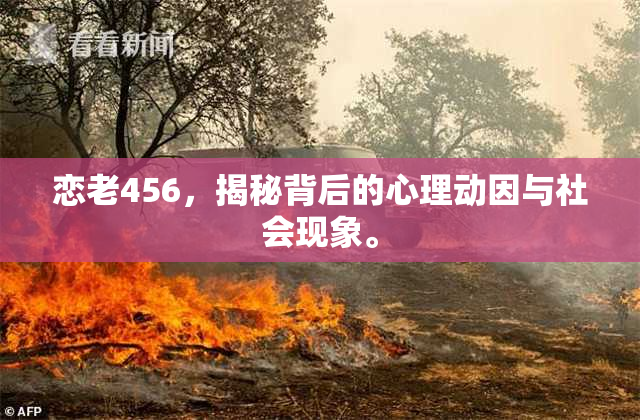恋老456，揭秘背后的心理动因与社会现象。