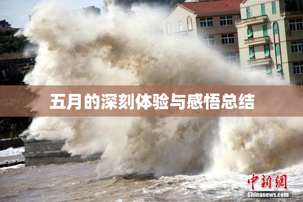 五月的深刻体验与感悟总结