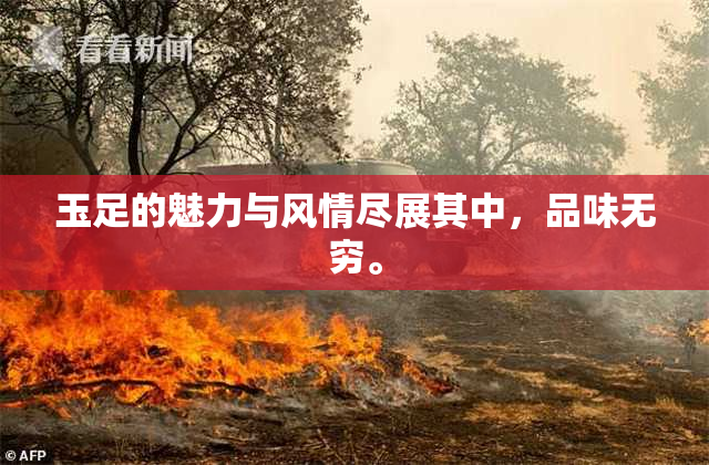 玉足的魅力与风情尽展其中，品味无穷。