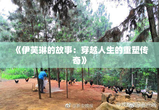 《伊芙琳的故事：穿越人生的重塑传奇》
