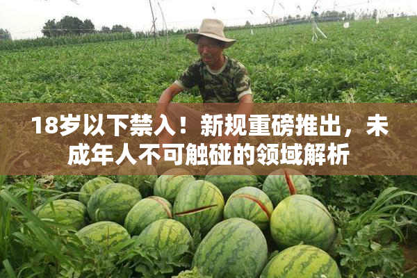 18岁以下禁入！新规重磅推出，未成年人不可触碰的领域解析