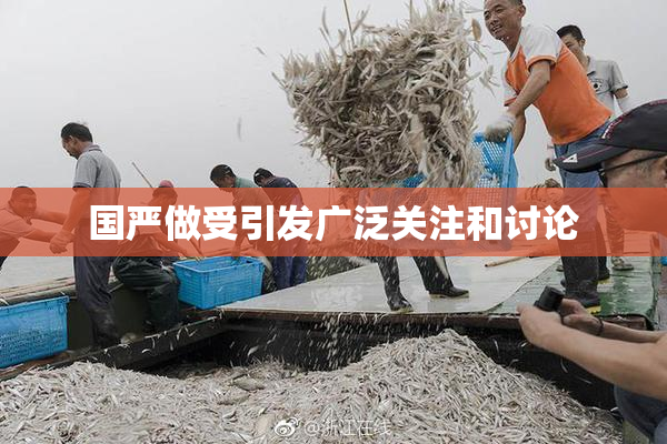 国严做受引发广泛关注和讨论