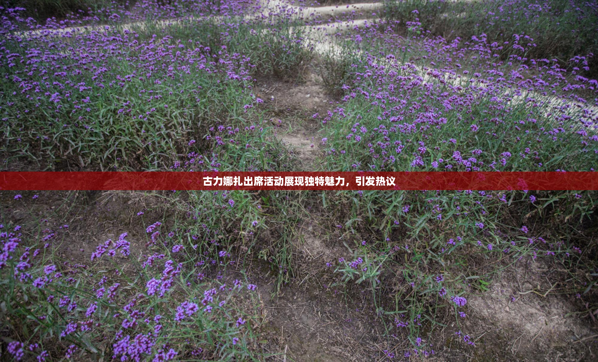 古力娜扎出席活动展现独特魅力，引发热议