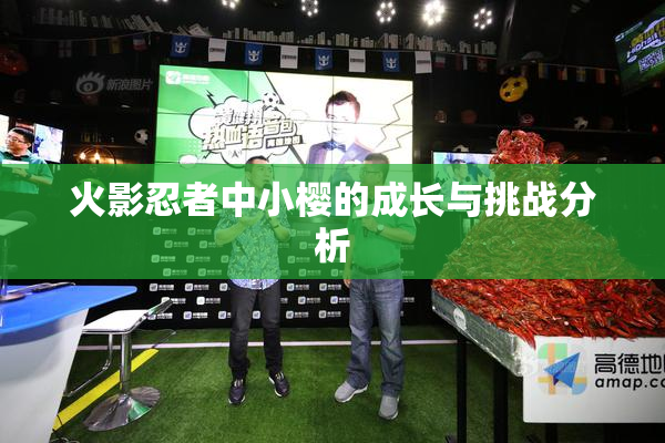 火影忍者中小樱的成长与挑战分析