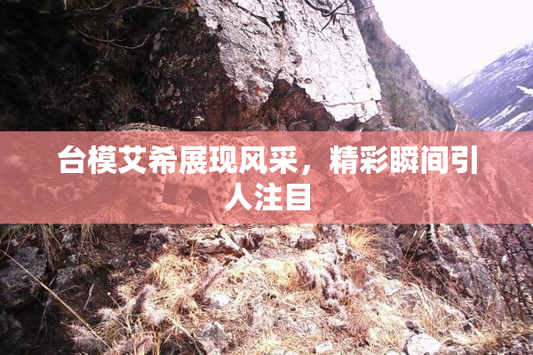 台模艾希展现风采，精彩瞬间引人注目