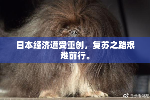 日本经济遭受重创，复苏之路艰难前行。