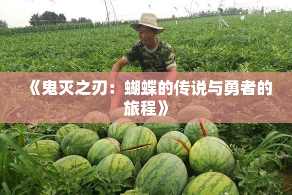《鬼灭之刃：蝴蝶的传说与勇者的旅程》
