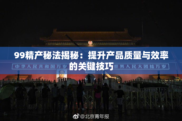 99精产秘法揭秘：提升产品质量与效率的关键技巧