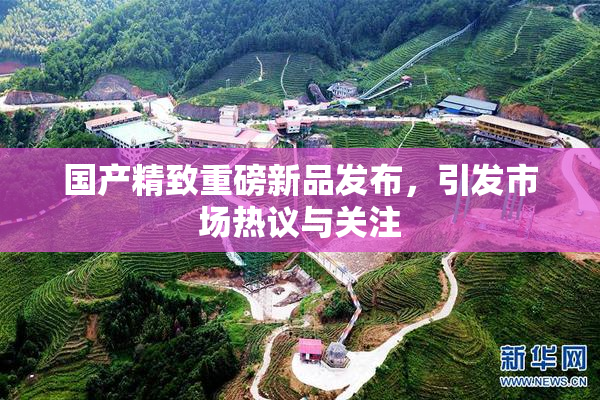 国产精致重磅新品发布，引发市场热议与关注