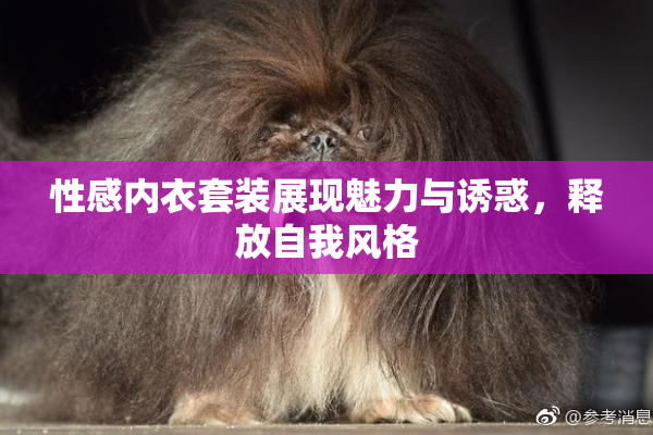 性感内衣套装展现魅力与诱惑，释放自我风格