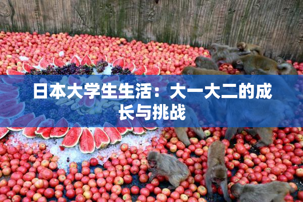 日本大学生生活：大一大二的成长与挑战